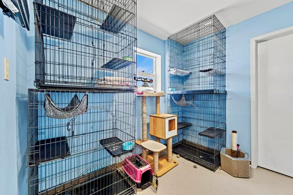 Cat boarding room