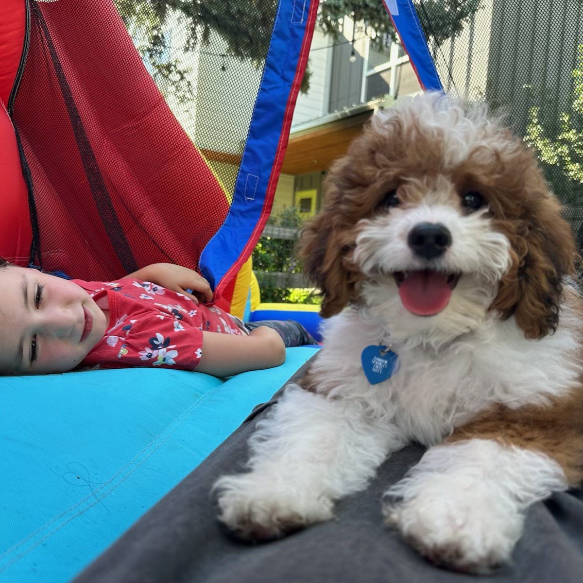 Outdoor play yard