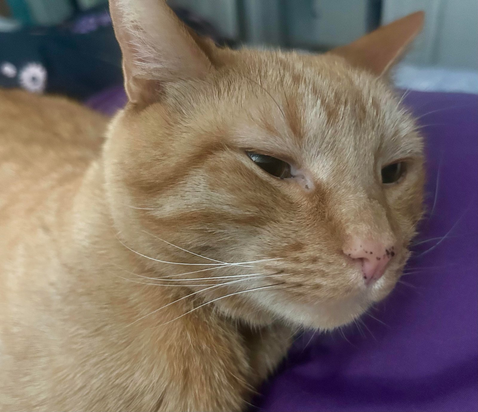 Additional boarding area